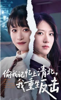 偷我记忆上清北，我重生反击(全集)
