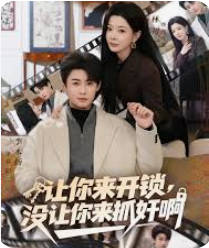 让你来开锁，没让你来抓奸啊(全集)
