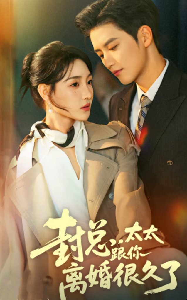 封总，太太跟你离婚很久了(全集)