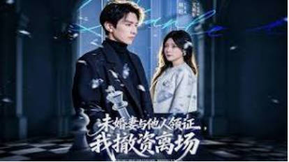 未婚妻与他人领证，我撤资离场(全集)