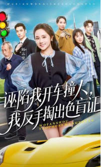诬陷我开车撞人，我反手掏出色盲证(全集)