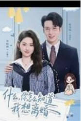 什么，你怎么知道我想离婚(全集)
